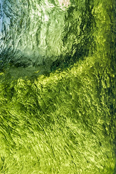 Photographe Chartreuse