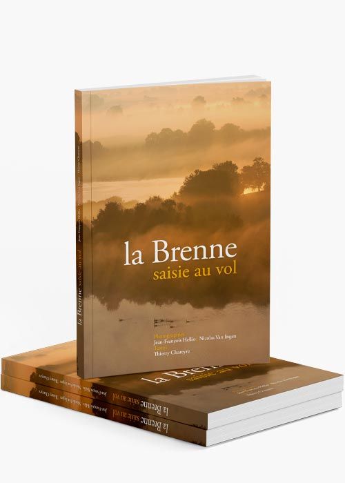 Mise en page du livre "La Brenne saisie au vol" de  Jen-François Hellio et Nicolas Van Ingen