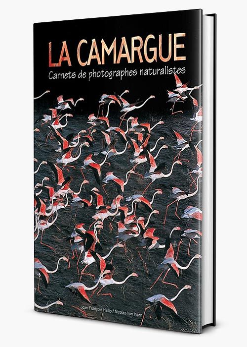 Mise en page du livre "La Camargue" de  Jen-François Hellio et Nicolas Van Ingen